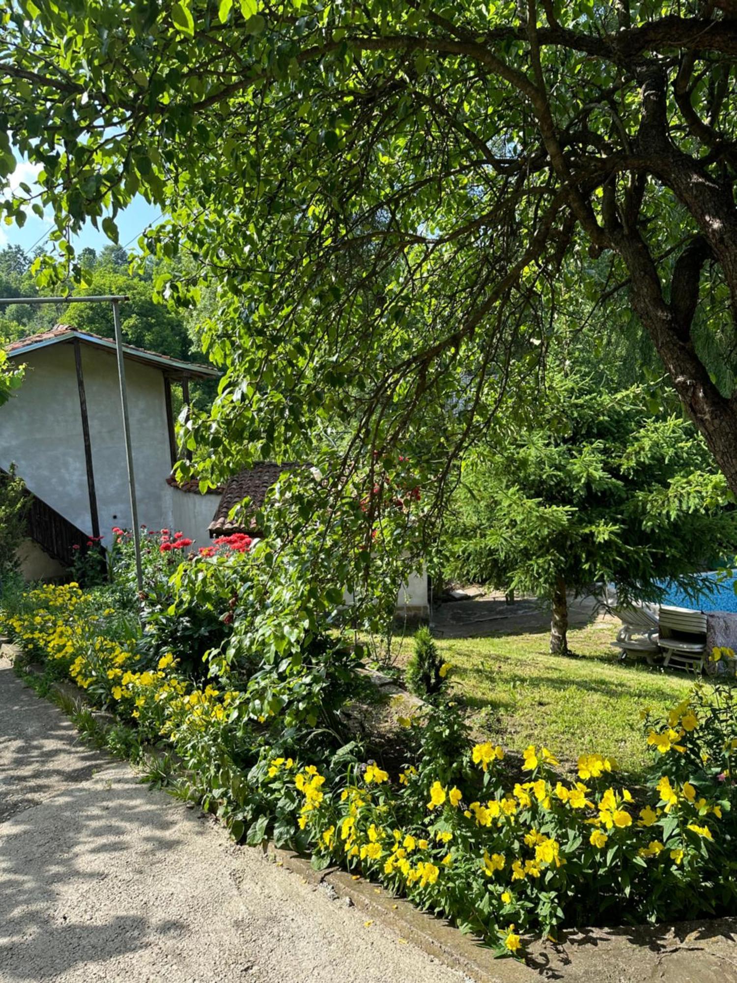 Вила Чевермето Palitsi Esterno foto